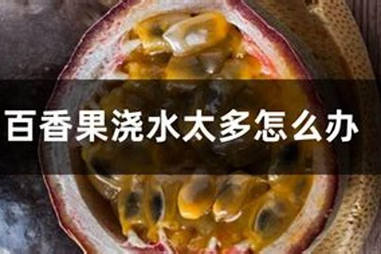 为什么百香果只长叶不开花不结果