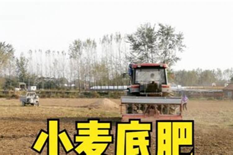 黄豆每亩需要施多少斤肥料？