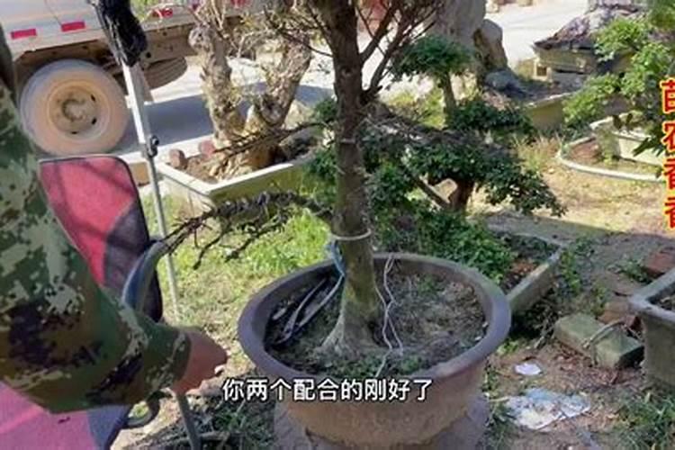 什么叫氨基酸水溶肥,含氨基酸水溶肥原料分