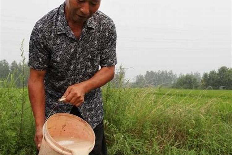 生根水不用买 教你自己做生根剂