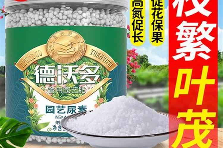 什么东西可以当养花的肥料呢 养花的氮肥有哪些