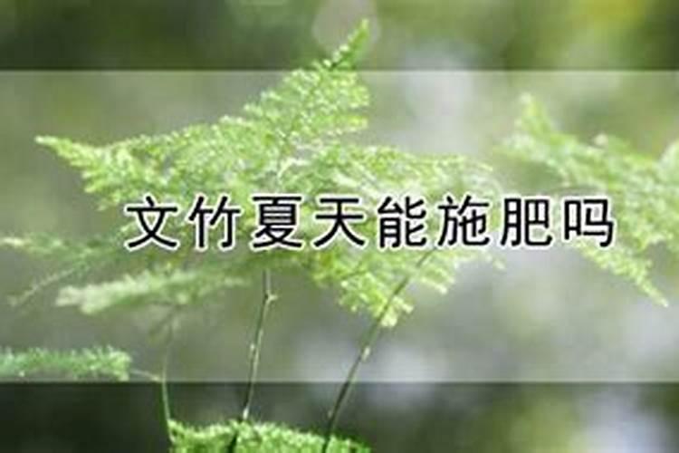 西瓜什么时候冲施钙肥