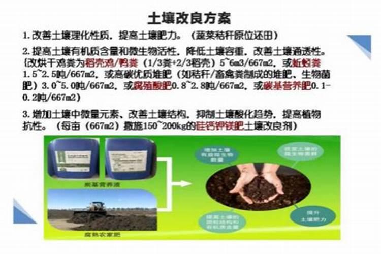 硅肥的作用及使用方法 关于硅肥用处及施用方法
