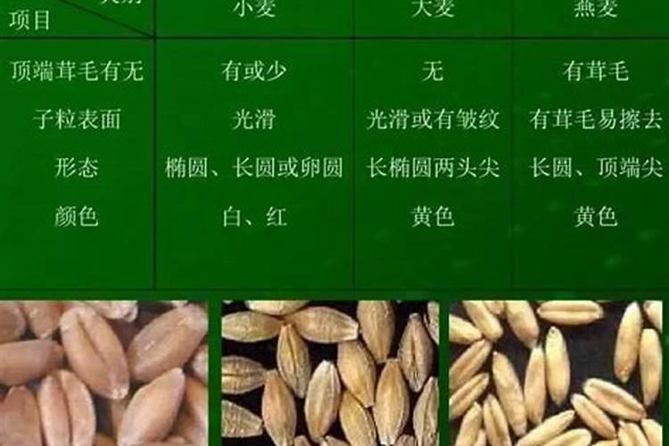 怎样使有限的磷肥发挥较大的增产效果？