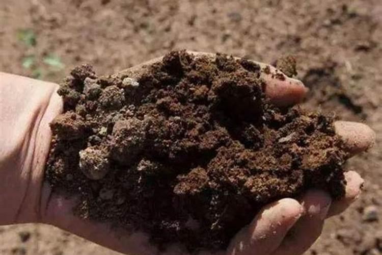 大量元素水溶肥料里面有编织袋残渣正常吗？