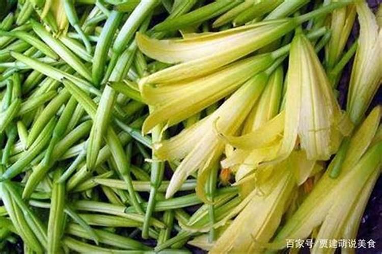 黄花摘完后怎样管理？