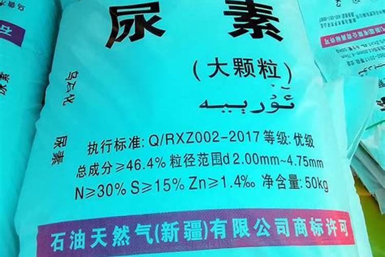 伊贝母有哪些特征？