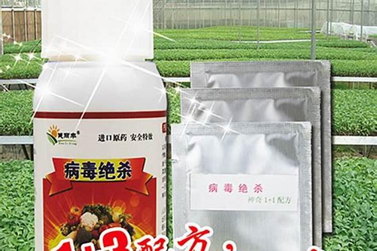 烤烟落黄金叶灿好还是大红甲好