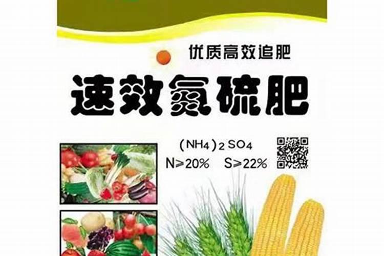 含硫氮肥对作物起什么作用