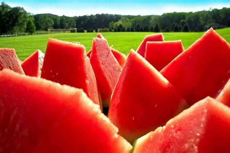 四季花施什么肥料最好 果树施什么肥料最好