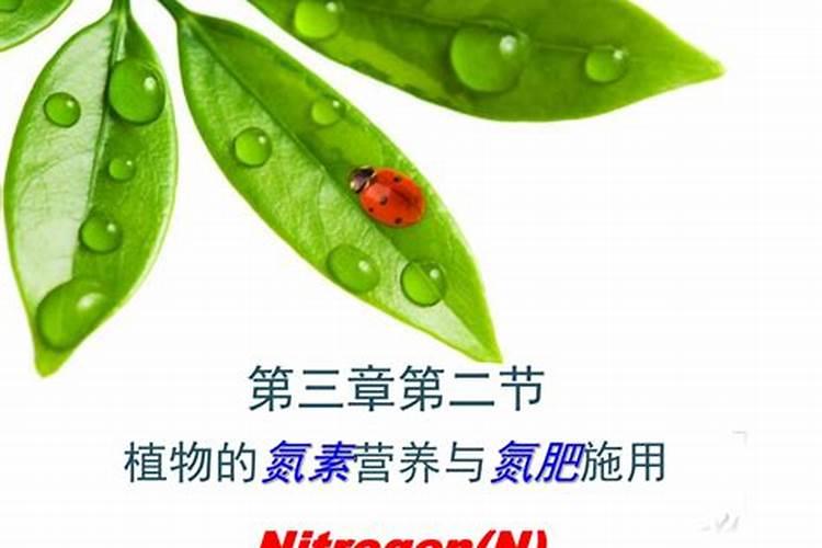 磷矿粉溶于水吗