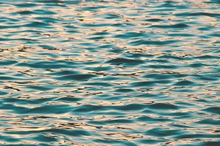 红掌浇什么肥料合适