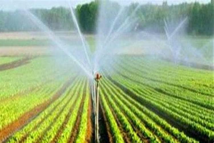 尿素、硫酸钾和钙镁磷肥可不可一起混合使用？