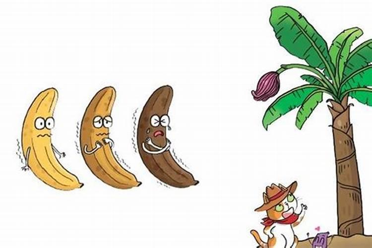硅肥在大棚葡萄上什么时间用最好？