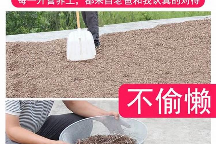 室外绿植的杜鹃花用田园土可以吗？