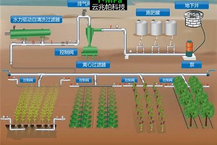 苹果树什么时候用水溶肥,怎么用最好