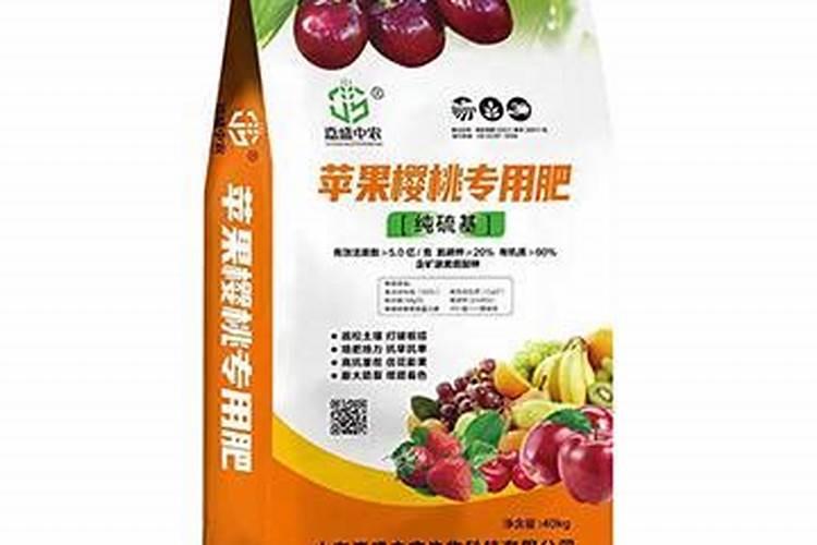 刚买的月季要剪花苞吗