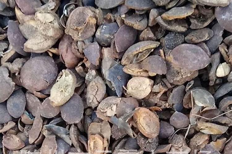 肥水膏是酸性还是碱性