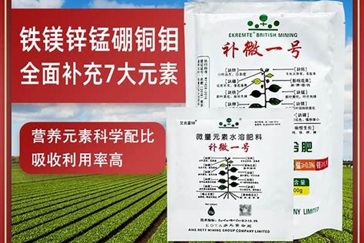 银杏叶片的功效与作用