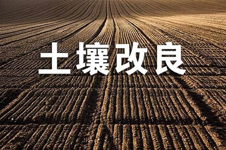 磷肥治盐碱地吗