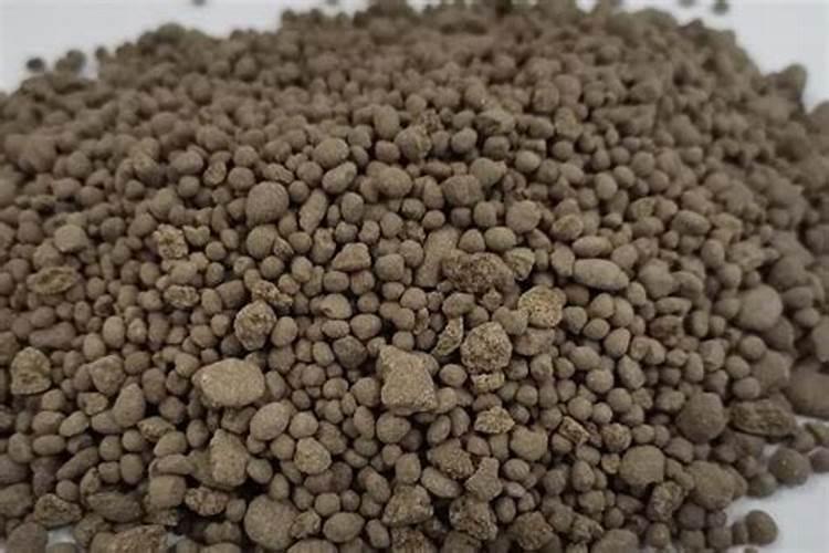 碱性土壤改良方法用什么肥？