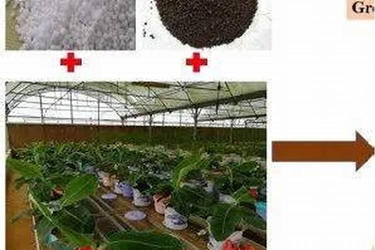 矿源黄腐酸钾使用方法
