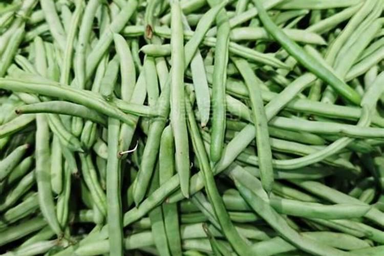 四季豆用什么肥料最好