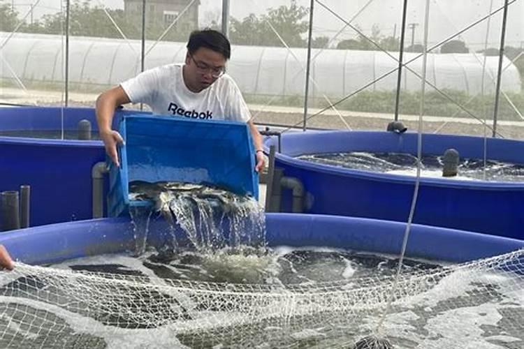 大量元素水溶肥哪个品牌好