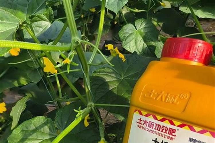 离昆明创意英国小区最近的中国银行在哪里