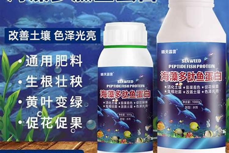 鱼蛋白肥料的使用技巧