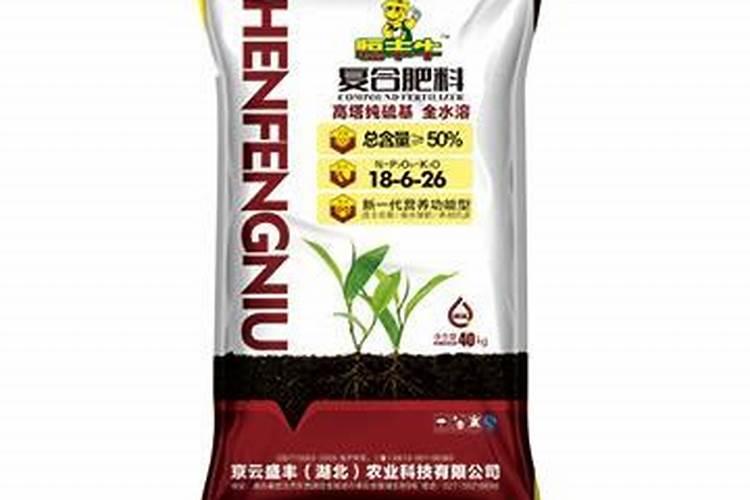 想要种植的茶花长得好,施什么肥好呢？