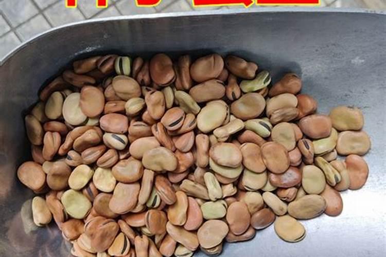 罗汉豆怎么烧好吃