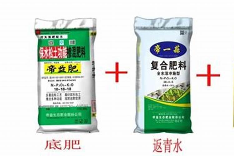种姜用什么比例的肥料 这样施肥最合理