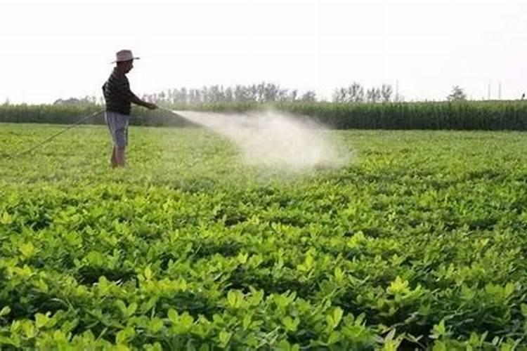 什么水溶肥最好