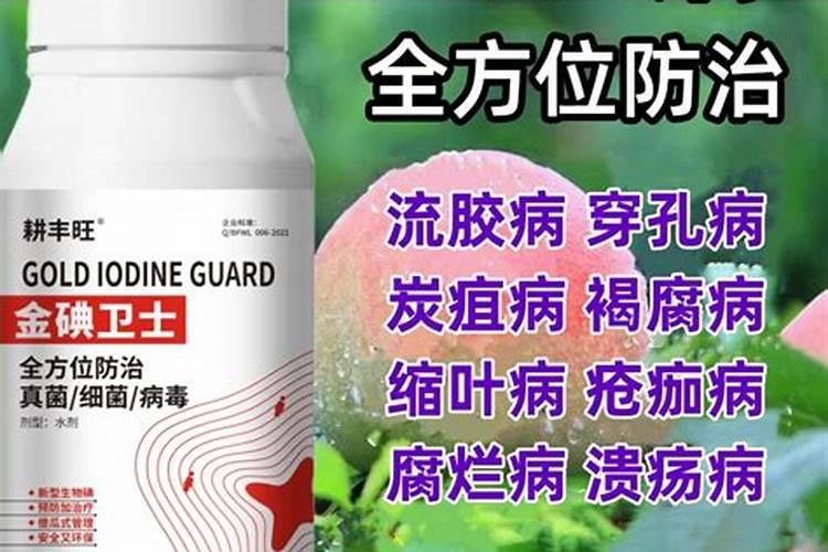 桃树使用什么杀菌剂