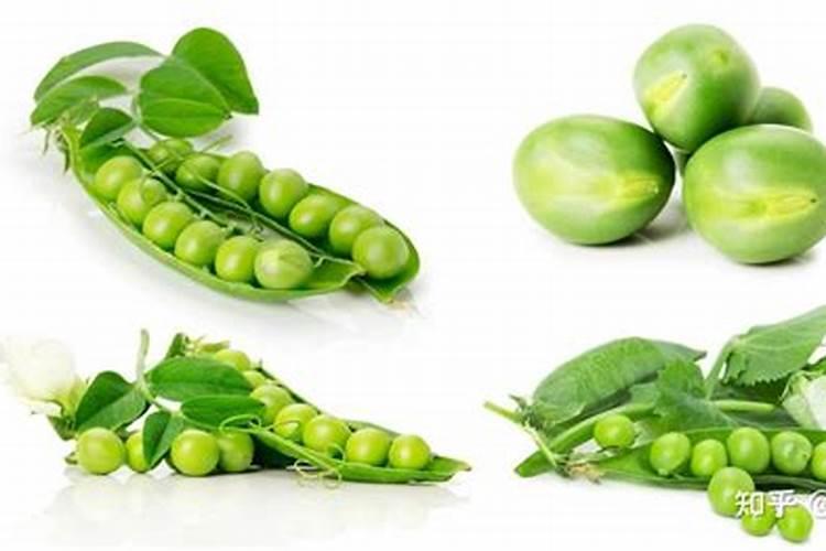 油菜用什么底肥最好