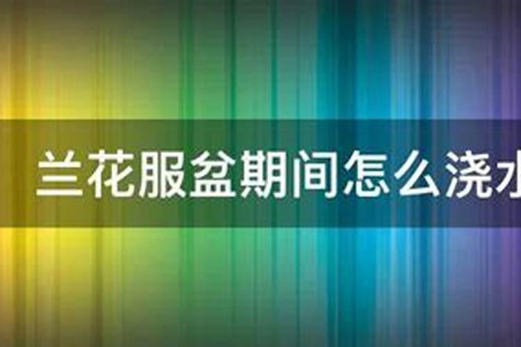 发财树浇什么肥最好