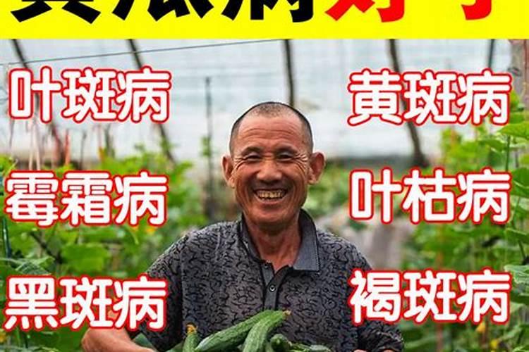磷酸二氢钾怎么在蔬菜上使用