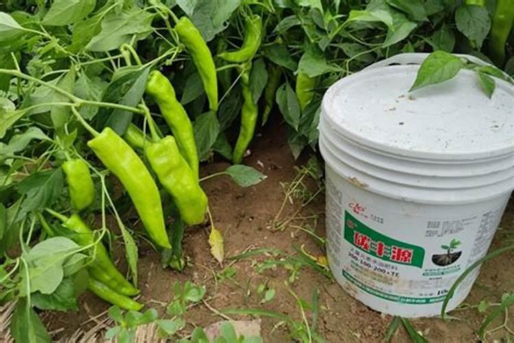 种菜施肥用什么水溶肥料好？