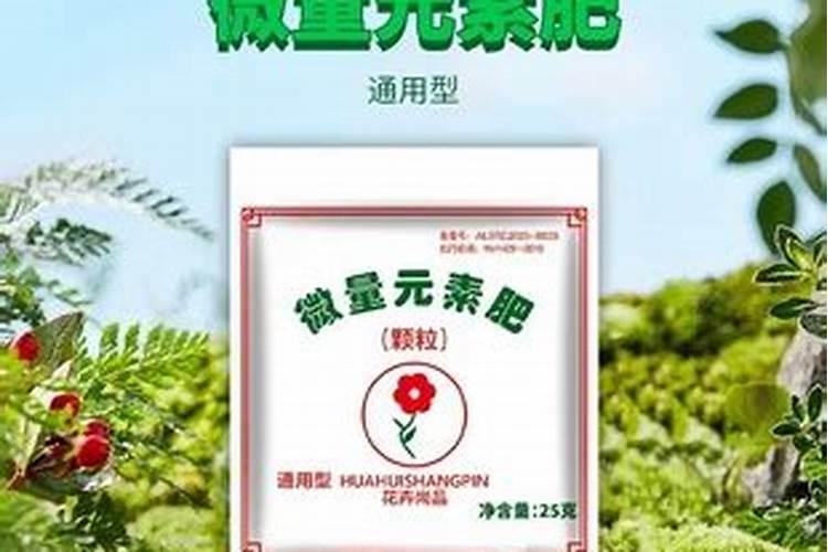 果树缺钙用什么肥料最适合(果树需补什么钙肥最好)