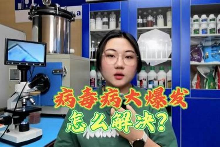 胺鲜脂,乙烯利,芸苔素,磷酸二氢钾一起混用在玉米上行吗？