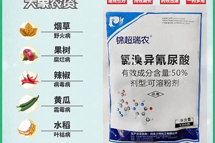 广西三椿生物科技有限公司怎么样？