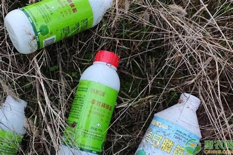 露地丝瓜高产栽培技术 丝瓜种植要注意什么