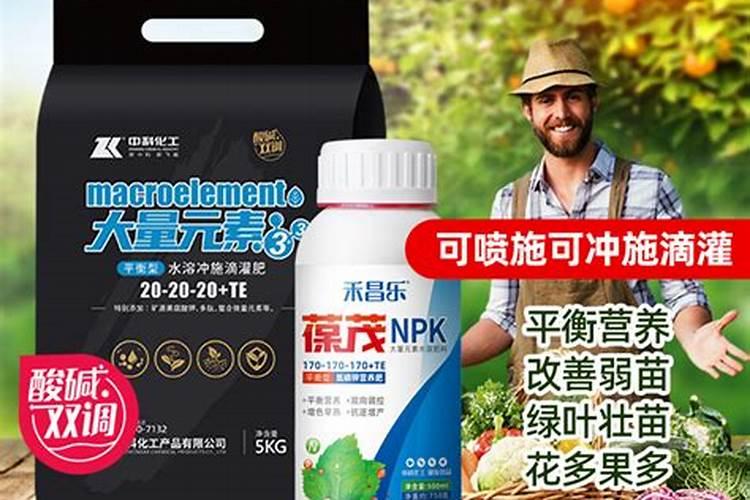 生姜种植什么时候需要施钙肥