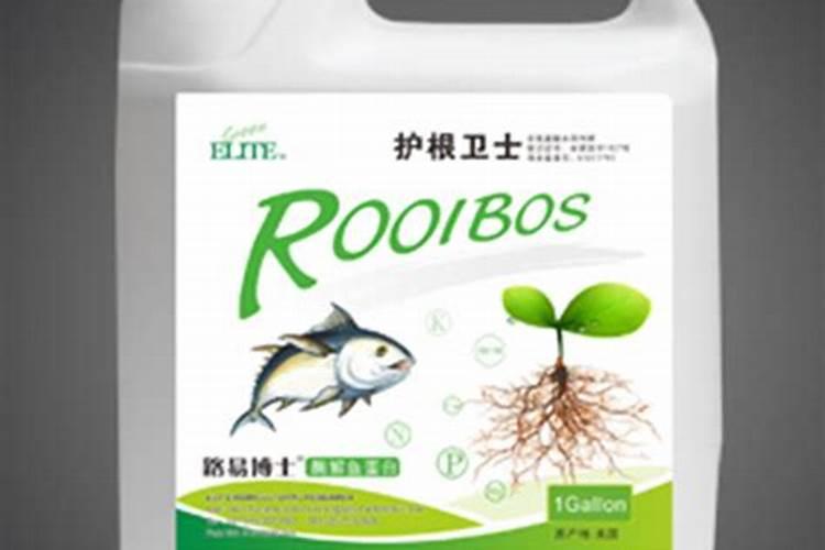 兰花叶片发黄如何恢复绿叶快