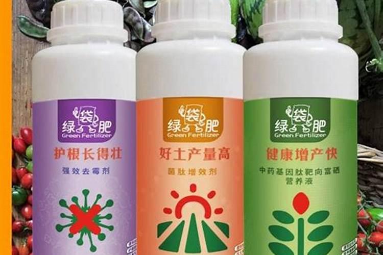 什么肥料使根系发达