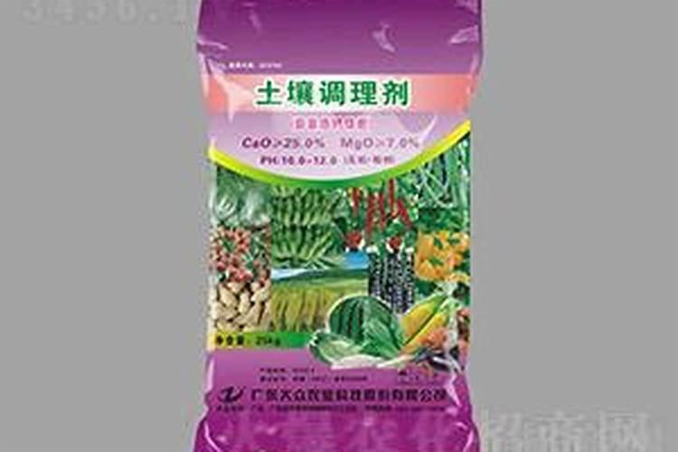 满天星施什么样的肥