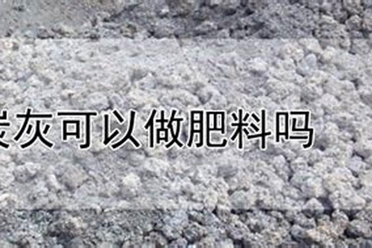 养殖中说的碳肥是什么
