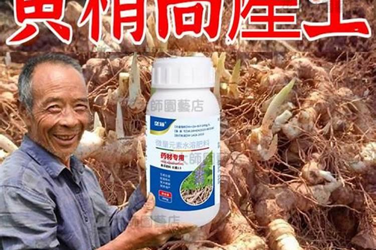 菌肥和复合肥如何混施