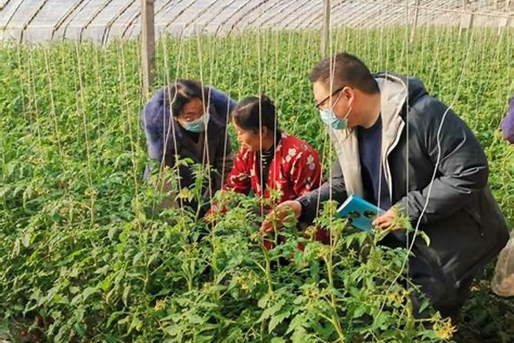 养殖场生产有机肥还用做环评报告吗